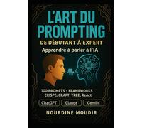L'Art du Prompting: De Débutant à Expert