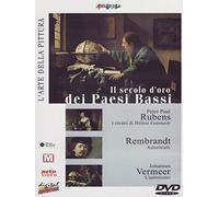 L'arte della pittura - Il secolo d'oro dei Paesi Bassi [Italia] [DVD]