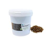 Larva Black Soldier Fly Plantasacuario 1000ml, Alimento a Base de Insectos 100% Natural para Peces, Aves y Reptiles Rico en proteína y vitaminas