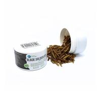 Larva Black Soldier Fly Plantasacuario 100ml, Alimento a Base de Insectos 100% Natural para Peces, Aves y Reptiles Rico en proteína y vitaminas
