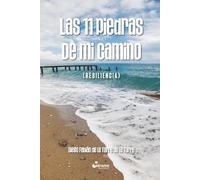 Las 11 piedras de mi camino: (Resiliencia): 01 (Autoayuda)