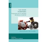 Las causas incidentales. Propuestas para la celeridad del proceso incidental (Canónica)