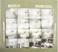 LAS LEYES DEL EQUILIBRIO