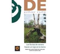 Las lluvias de verano hacen un tajo en la tierra (LITERATURA)