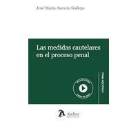 Las medidas cautelares en el proceso penal (LITIGACION PENAL)