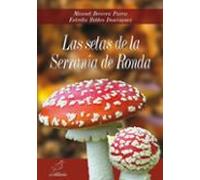 Las setas de la Serranía de Ronda