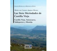Las siete Merindades de Castilla Vieja - Tomo I: Castilla Vieja, Sotoscueva, Valdeporres y Montija: 4 (Historia de las Merindades de Burgos)