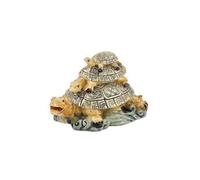 Las Tortugas Feng Shui