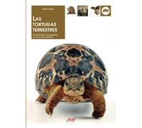 Las tortugas terrestres