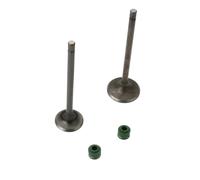 Las válvulas de admisión de motocicletas y de escape establecidas para motores de 4 golpes compatibles con CG110 CG125 CB125J CB125S XL125 14711-383-000 14721383000