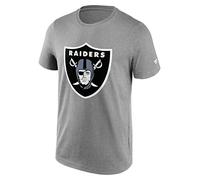 LAS VEGAS RAIDERS LOGO GRAPHIC