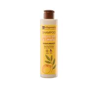La Saponaria | Champú Bio Equilibrante con salvia y limón - Champú sin sulfatos ni parabenos, Purifica y equilibra el cuero cabelludo graso, dejando el cabello fresco y ligero. 200 ml.