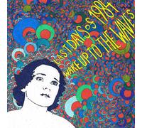 Last Days of 1984 - Wake Up to the Waves [Vinilo]
