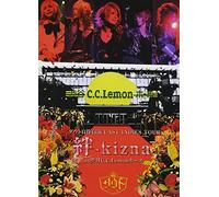 ダウト自作自演 LAST INDIES TOUR(絆-kizna-)at渋谷C.C.Lemonホール [DVD]