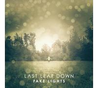 Last leaf down - Fake lights