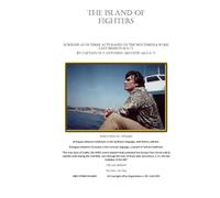 Last Mission of G-71: The island of fighters