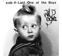 Wild Boys - Last One Of The Boys - Vinilo - Importación USA - Membran
