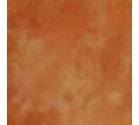 Lastolite LL LB7842 Caja de luz - Soft Box (Marrón, 7000 mm, 3000 mm)