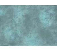 Lastolite Wyoming - Fondo Lavable (3 x 3.5 m)