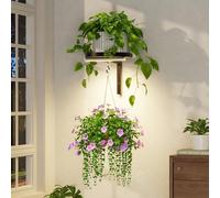 LASZOLA Fijaciones marco de pared marco de ventana de metal 1 pieza para decoración de flores con luz 1 boquilla para decoración al aire libre para ducha y jardín negro