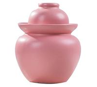 latas de cerámica, Encurtido tradicional chino en tarro de cerámica con tapa hermética, kimchi grande y espeso(Roze,1.5KG)