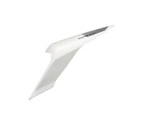 Laterales Panel Para 450SR 450SRS Cubierta Protectora Del Alerón Trasero Izquierdo/derecho Asiento De La Luz Trasera Placa Moldura