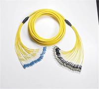 Latiguillo de Fibra óptica LC-LC de 24 núcleos, 1-30 m, monomodo, 20 m, 10 m, 5 m, Cable de conexión SC FC ST E2000 SM, Cable de conexión de Fibra óptica 24C(2m LC-LC)