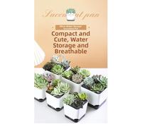 LatoYard Recipiente automático para plantas de riego automático, moderno para maceta de plástico con diseño de circulación de aire, crecimiento de raíces, tamaño compacto, color blanco