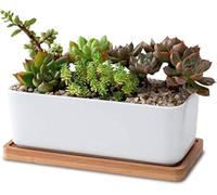 LATRAT - Juego de macetas rectangulares blancas de cerámica para suculentas y cactus con posavasos de bambú - pequeña maceta decorativa
