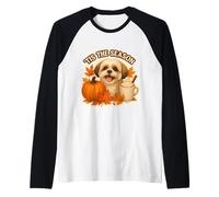Latte con Especias de Calabaza para Perros Shih Tzu, otoño y otoño, Tis The Season Camiseta Manga Raglan
