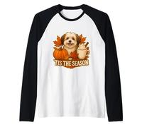 Latte Tis The Season para Perros habaneros, otoño, otoño, Calabaza y Especias Camiseta Manga Raglan
