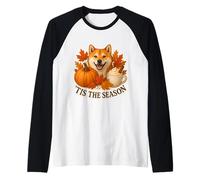 Latte Tis The Season Shiba Inu Dog para otoño y Calabaza con Especias Camiseta Manga Raglan