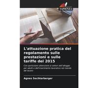 L'attuazione pratica del regolamento sulle prestazioni e sulle tariffe del 2015: Con particolare attenzione ai settori dell'alloggio per adulti e dell'inserimento lavorativo nel mondo del lavoro