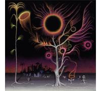 LAURA AGNUSDEI - FLOWERS ARE BLOOMING IN ANTARCTICA [Vinilo]