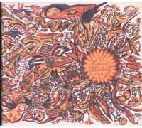 Laura Marling - Alas I Cannot Swim [Import]