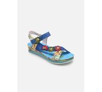 Laura Vita Brcuelo 81 35 Azul