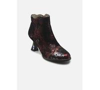 Laura Vita Oliveo 12 42 Rojo