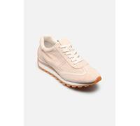 Cream Deportiva Dani de ante perforado EU 36