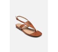 Lauren Ralph Lauren Everley-Sandals-Flat Sandal 40 Marrón