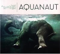 Laurent De Schepper Trio - Aquanaut