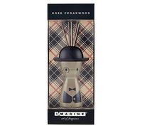 Lavabo Art of Fragrance carga para difusor ambientale a Zuckerstange - 60 ml