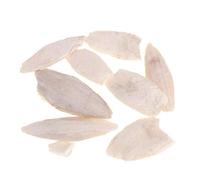 LAVALINK Los Huesos De Pescado Naturales Cuttle Reptiles Jibia Son Adecuados para Periquitos Budgies Canarias Tortoisesturtles Caracoles Terrapins