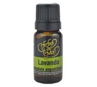 Lavanda Aceite Esencial 10 Ml Eco de Artemis Bio