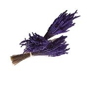 Lavanda Experience, Pack de 3 Ramos de Flores Naturales de Lavanda Preservadas de Cultivo Ecológico, de Elaboración Artesanal y Primera Calidad.