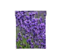 Lavanda Morada, Squeeze Top Wallet Bolsa de Almacenamiento para Mujer Monedero pequeño Bolsa de Cambio