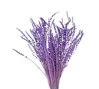 Lavanda seca - 30 cm de flores secas, ramo de lavanda natural, paquete de 60 g, ramo decorativo para fiestas, bodas, decoración de bricolaje, decoración del hogar