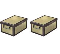 Lavatelli Kanguru Caja de Almacenamiento en cartòn, Modelo TAPIRUS, Pequeña 25x35x17,5cm (026 TA) (Paquete de 2)