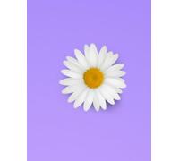 Lavender Floral simple and beautiful Ruled Notebook: Large 8.5 x 11 Lined Notebook for Writing, Journaling, Notes and Daily Planning