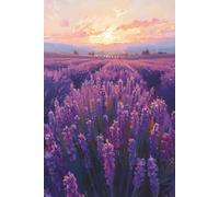Lavender Flower Notebook: Fields Of Lavender Journal