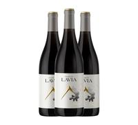 Lavia Aceniche Monastrell Bullas 75 cl Vino tinto (Caja de 3 Botellas de 75 cl)